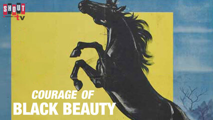 Courage Of Black Beauty