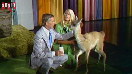 The Johnny Carson Show: Animal Antics With Joan Embery (9/13/74)