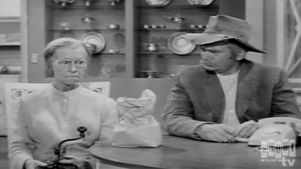 The Beverly Hillbillies: S2 E5 - The Clampett Look