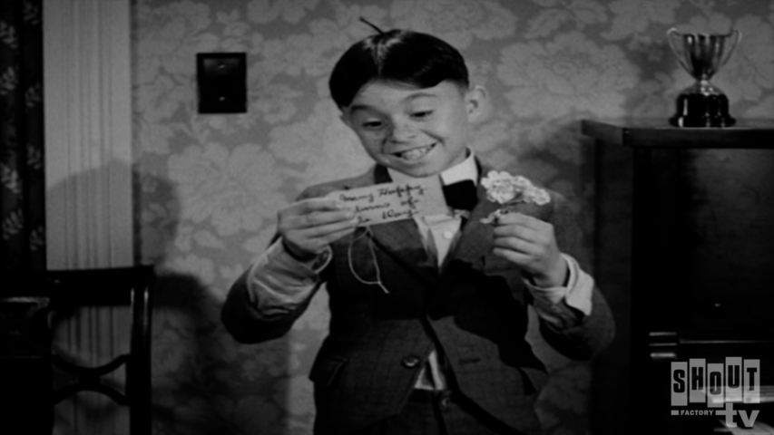 Little Rascals Shorts: Feed 'Em And Weep