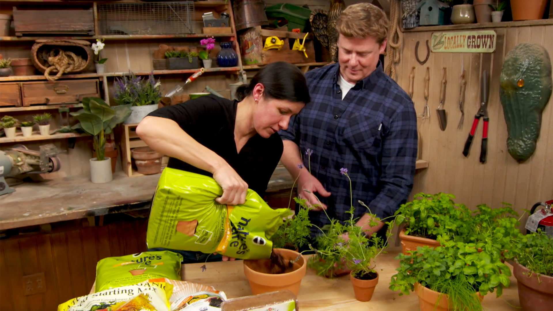 How To Start An Organic Garden This Old House
