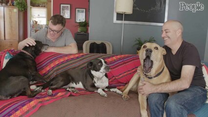 Celebrity Pet Matchmaker: James & Mark