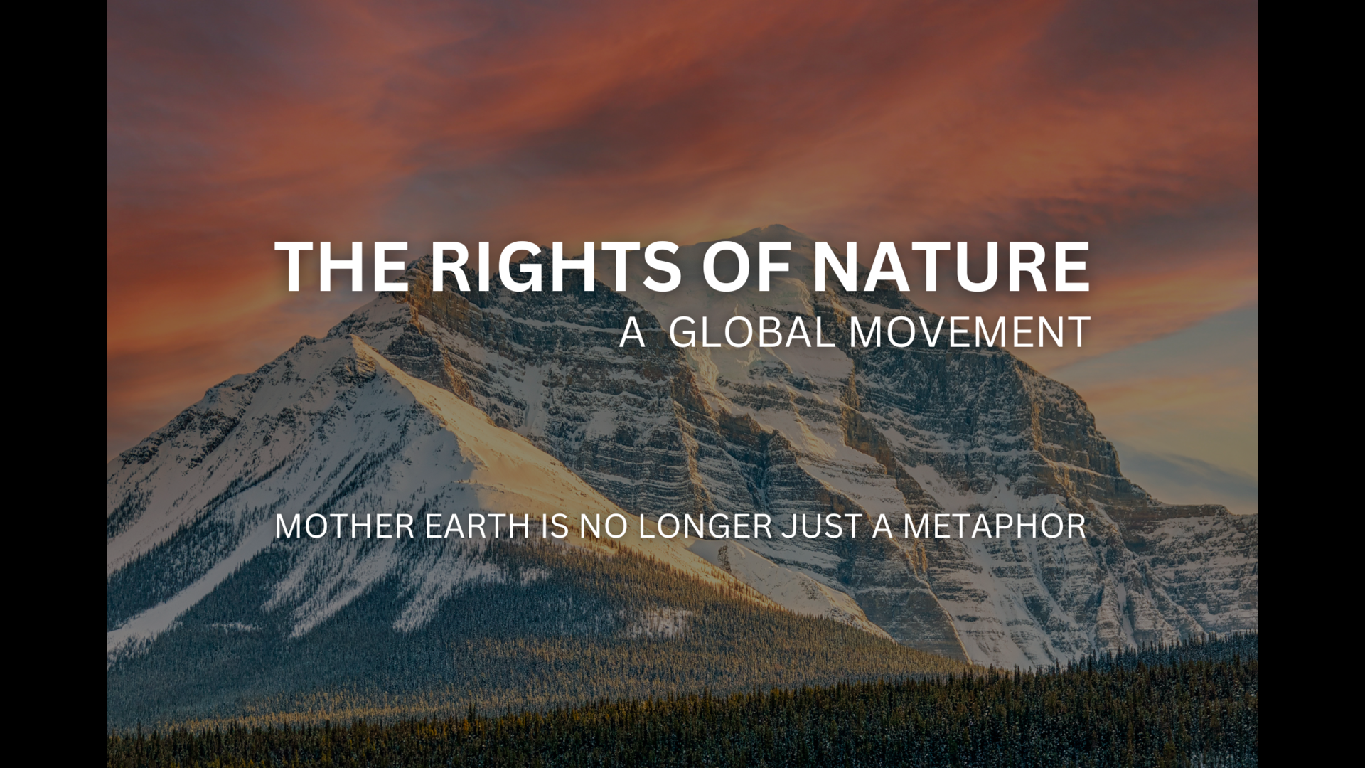 The Rights of Nature: A Global Movement